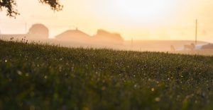 Rural Internet Options