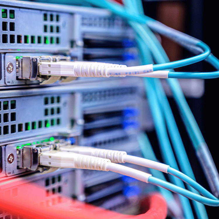 Network maintenance support